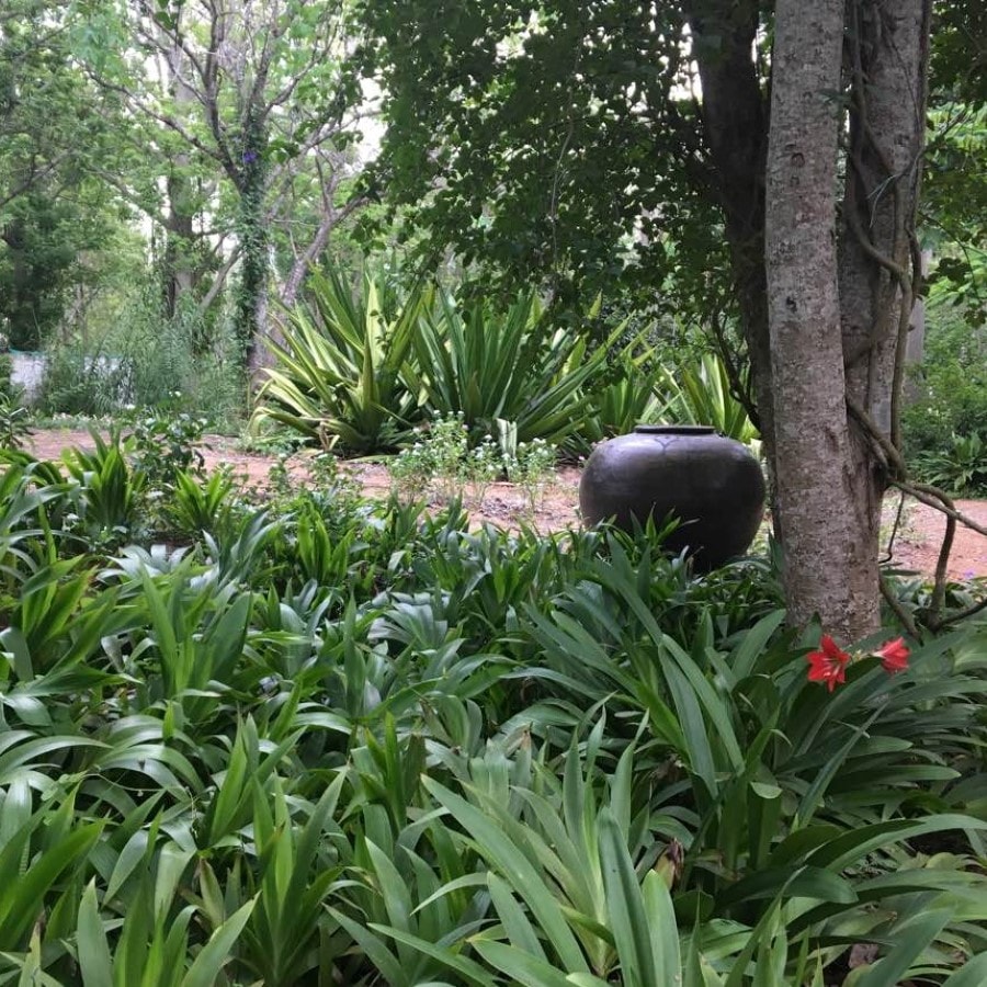 Lush tropical garden with ornamental pot at Palani Hills